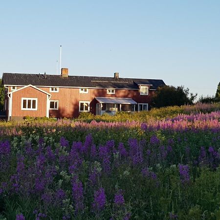 The Friendly Moose Hotel Overtornea Buitenkant foto