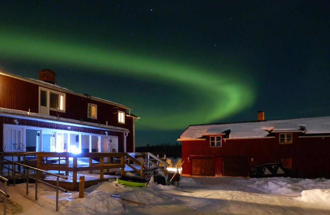 The Friendly Moose Hotel Overtornea Buitenkant foto