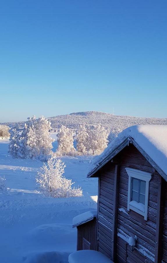 The Friendly Moose Hotel Overtornea Buitenkant foto