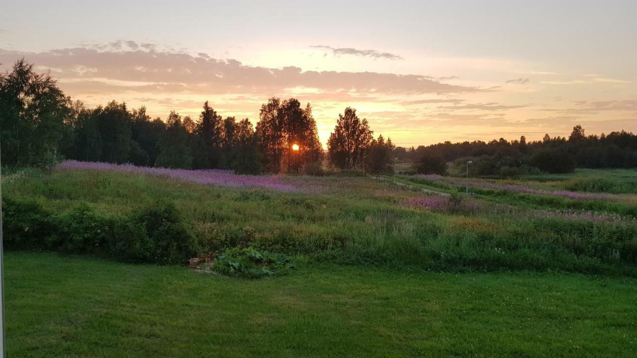 The Friendly Moose Hotel Overtornea Buitenkant foto